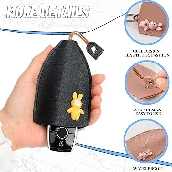 Car Key Case (multicolour)
