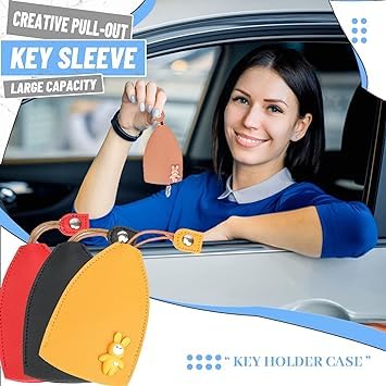 Car Key Case (multicolour)