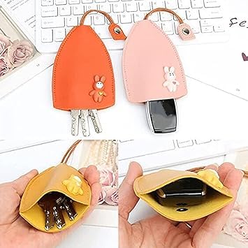 Car Key Case (multicolour)