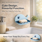 Self Adhesive Soap Holder  (Pack of 2)